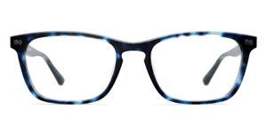 The Casper - Blue Tortoise