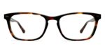 The Casper - Tortoise