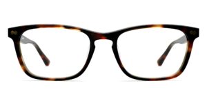 The Casper - Tortoise