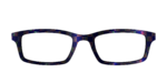 The Black Holographic Check