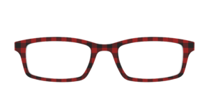 The Buffalo Plaid