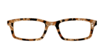 The Caramel Pearl Tortoise