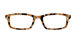 The Caramel Pearl Tortoise