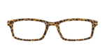 The Cheetah Spots