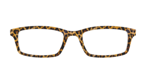 The Cheetah Spots