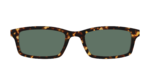 The Non-Polarized Green Tortoise Sun Top