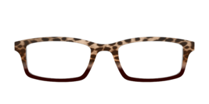 The Jungle Cat Tortoise