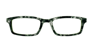 The Olive Pearl Tortoise