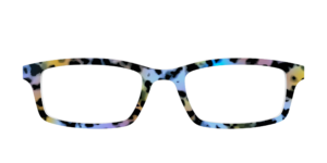 The Positano Tortoise