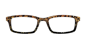 The Rustic Gold Leaf Tortoise