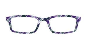 The Winter Winds Plaid