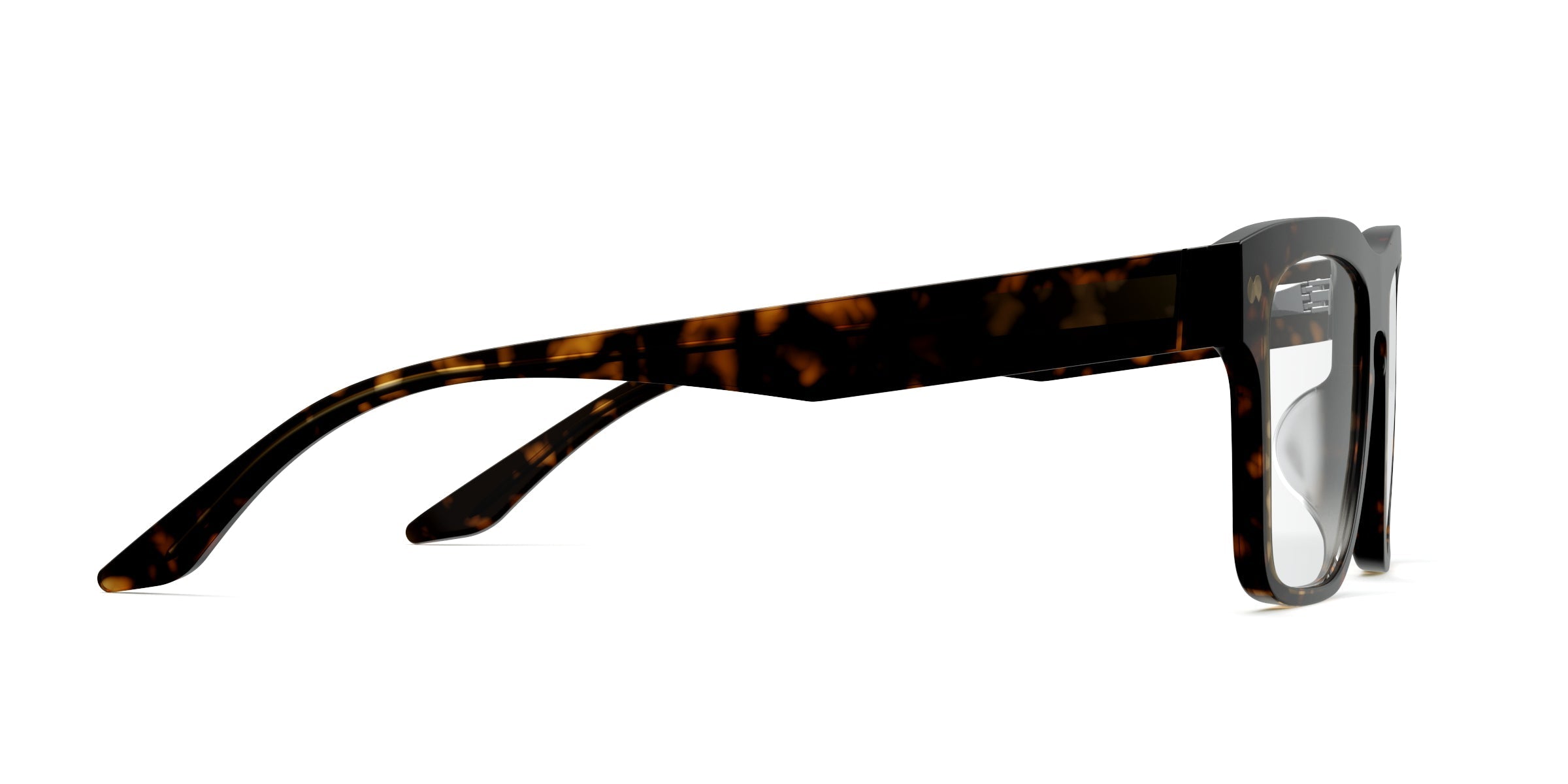 The Drew - Tortoise - Image 3