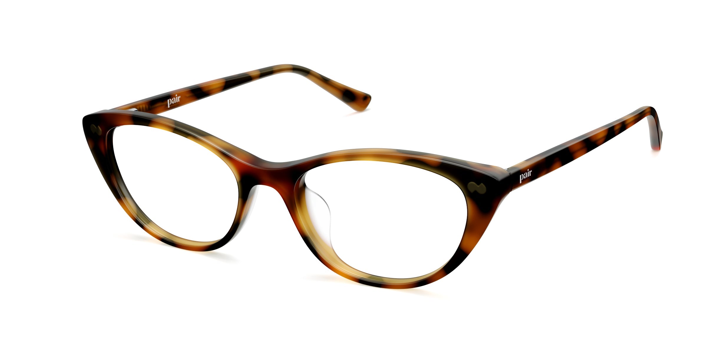 The ella - Tortoise - Image 2