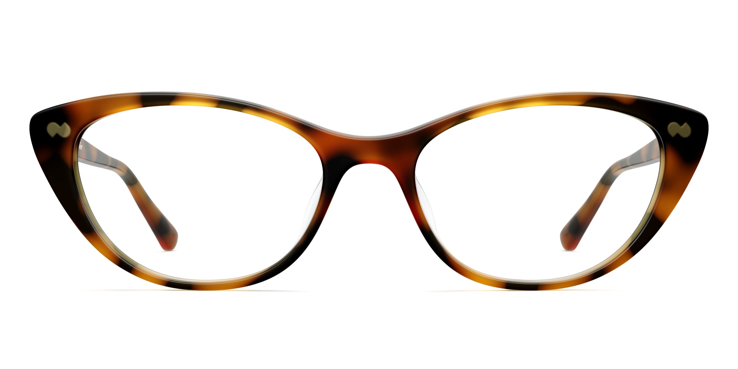 The ella - Tortoise