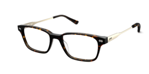 The Finley - Tortoise Acetate Gold Metal