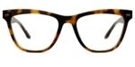 The Harper - Tortoise