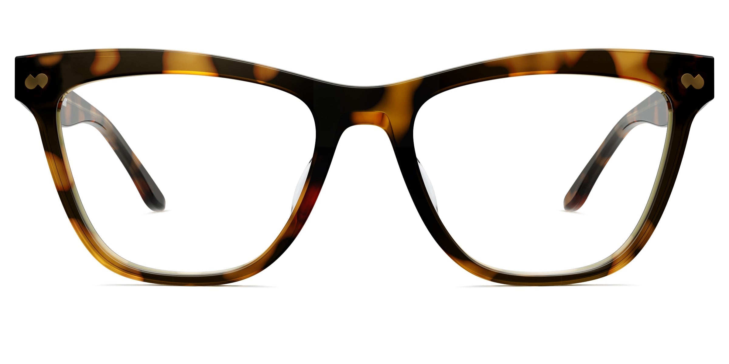 The Harper - Tortoise