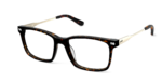 The Kirby - Tortoise Acetate Gold Metal