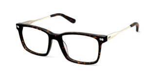 The Kirby - Tortoise Acetate Gold Metal