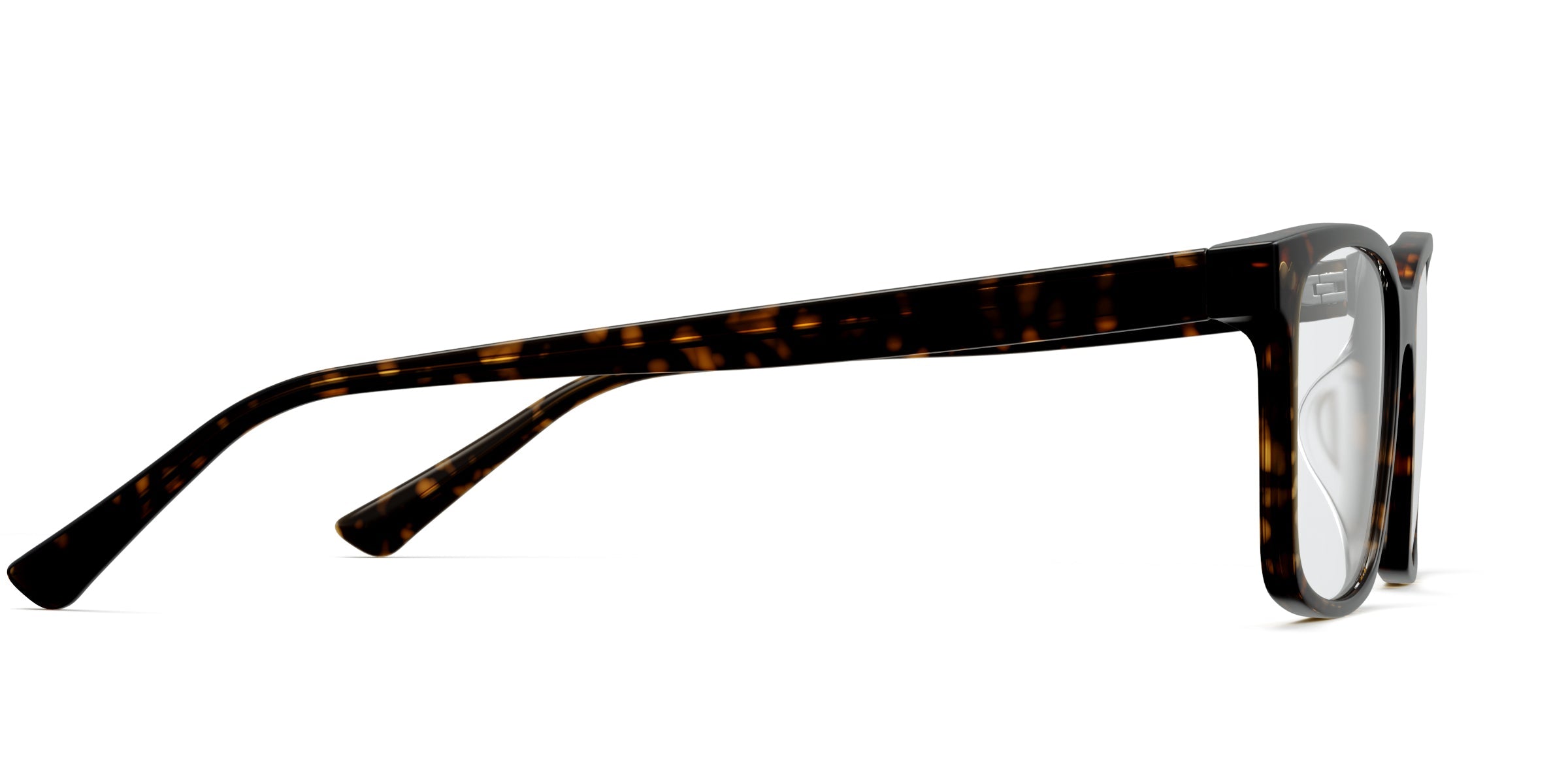 The Kirby - Tortoise - Image 3