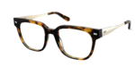 The Murphy - Tortoise Acetate Gold Metal