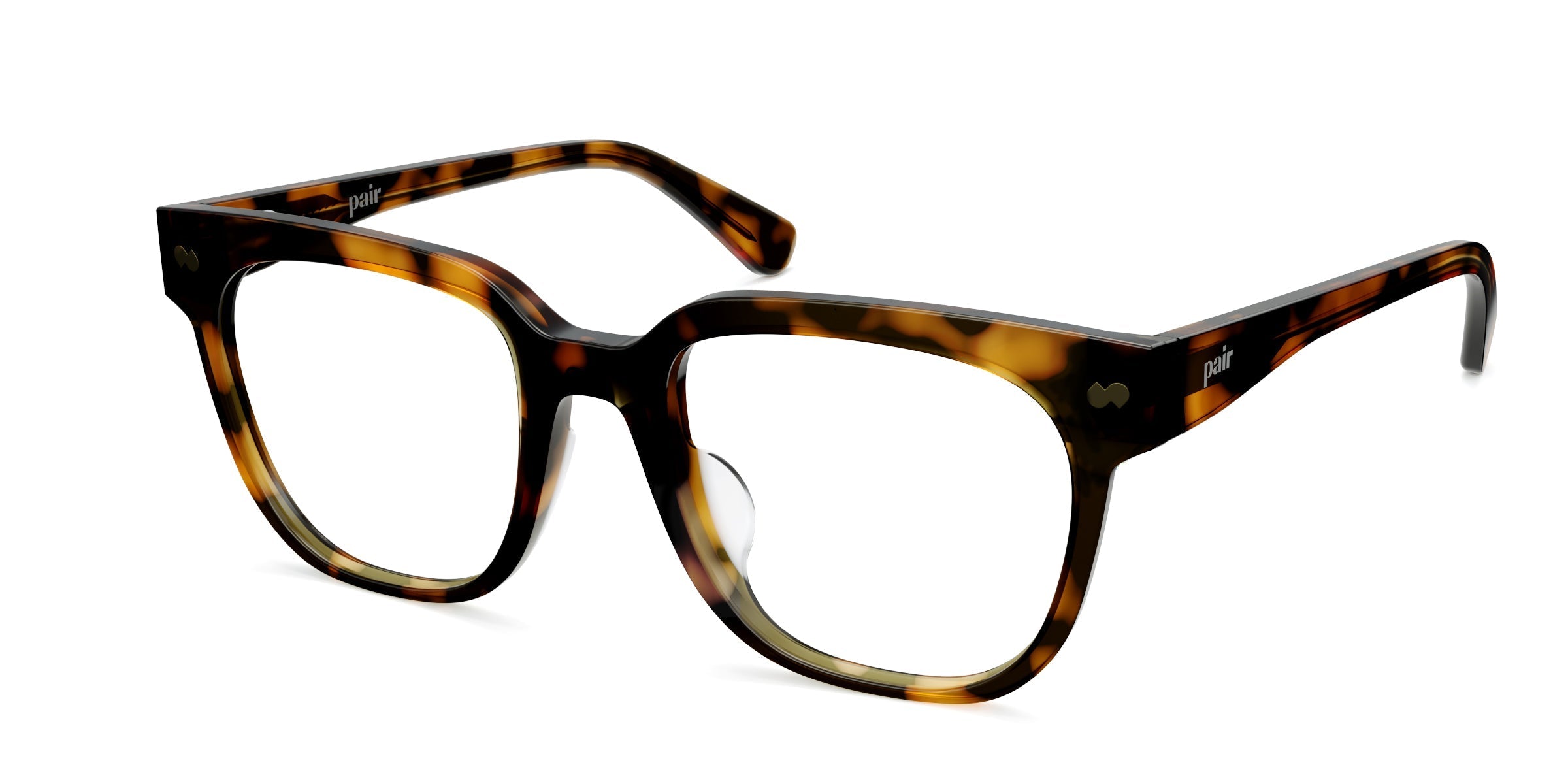 The Murphy - Tortoise - Image 2