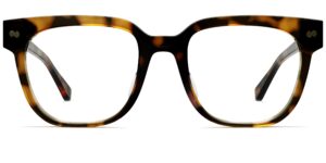 The Murphy - Tortoise