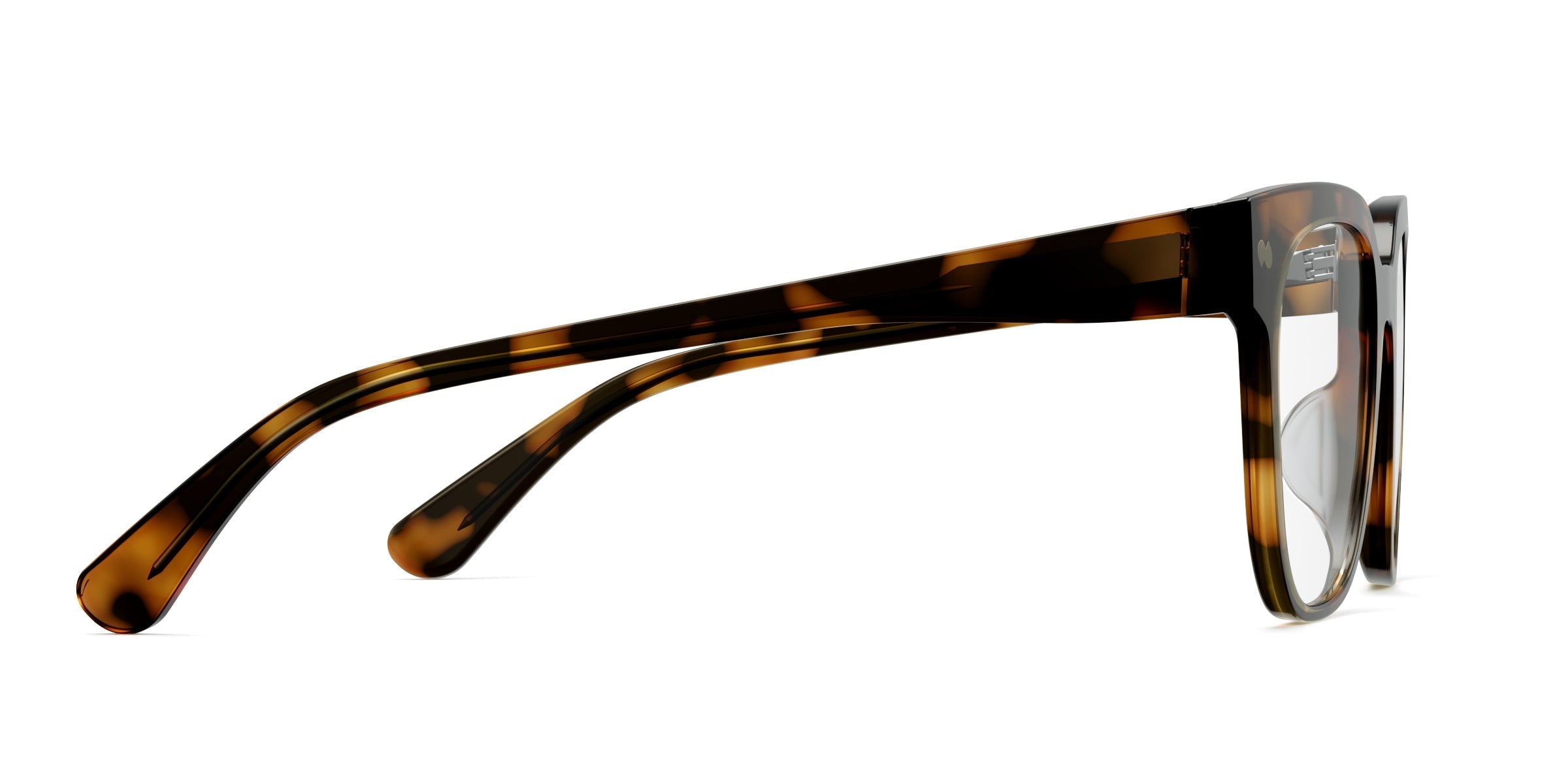 The Murphy - Tortoise - Image 3