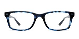 The Otero - Blue Tortoise