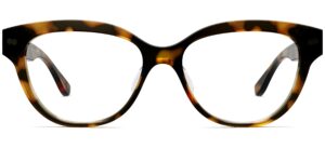 The Quinn - Tortoise