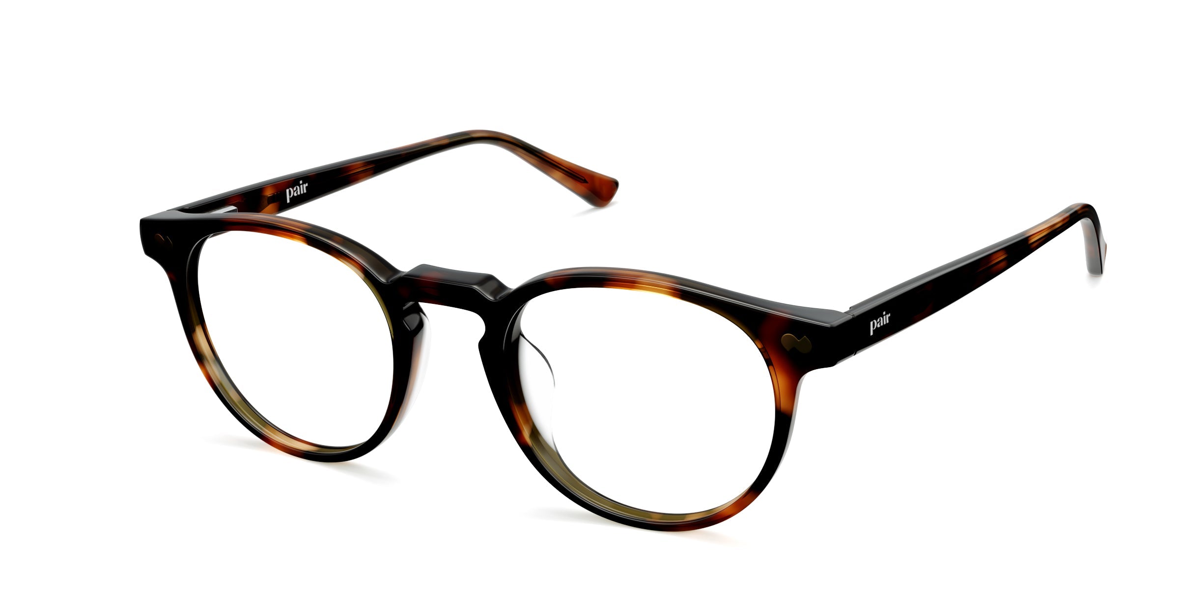 The Soto - Tortoise - Image 2