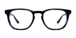 The Twain - Blue Tortoise
