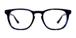 The Twain - Blue Tortoise