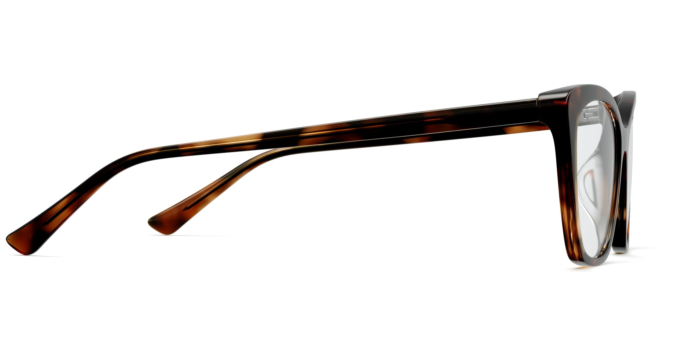 The Wanda - Tortoise - Image 3