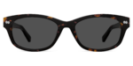 The Addison - Tortoise Sun
