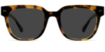 The Murphy - Tortoise Sun