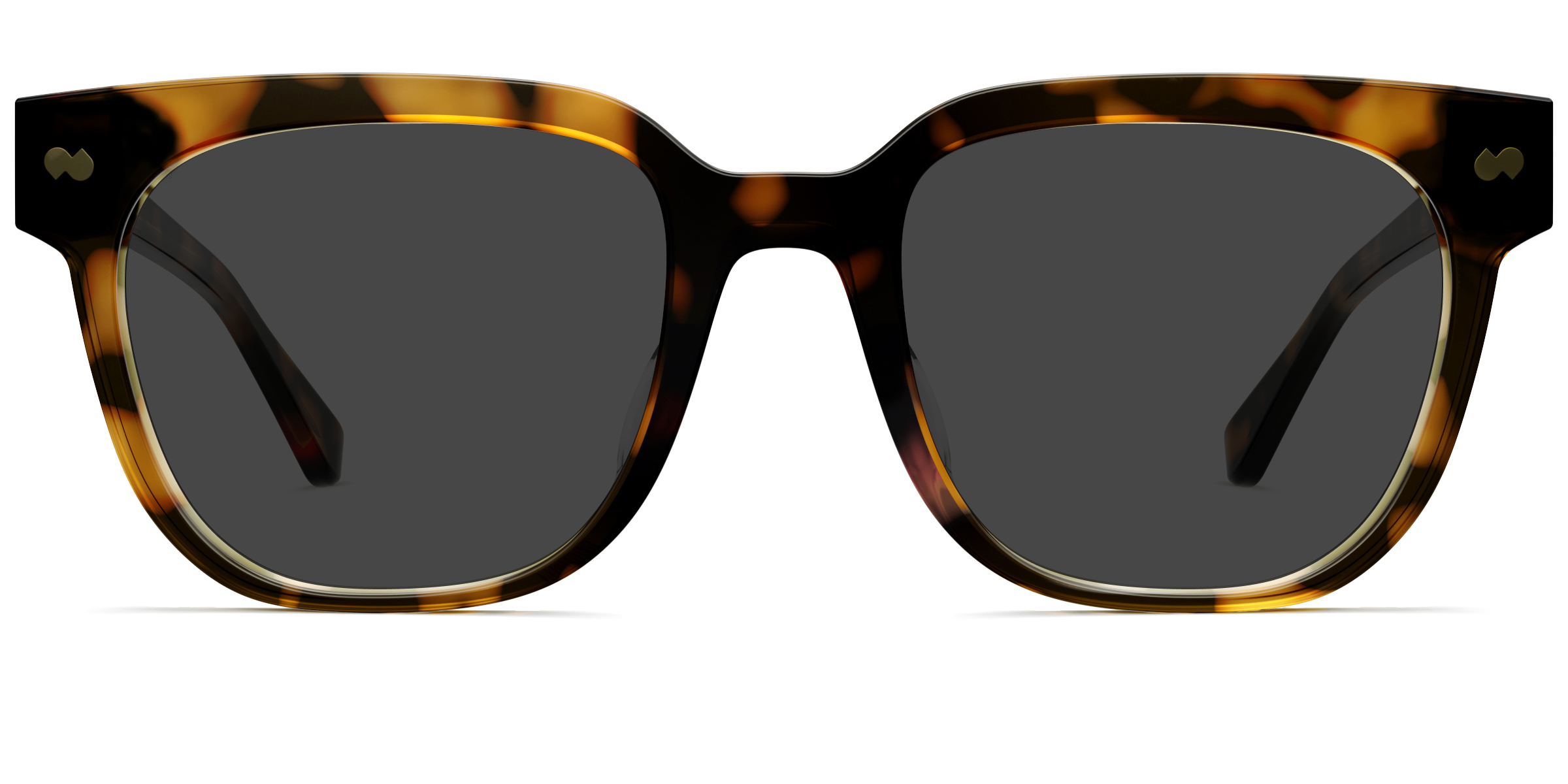 The Murphy - Tortoise - Image 4