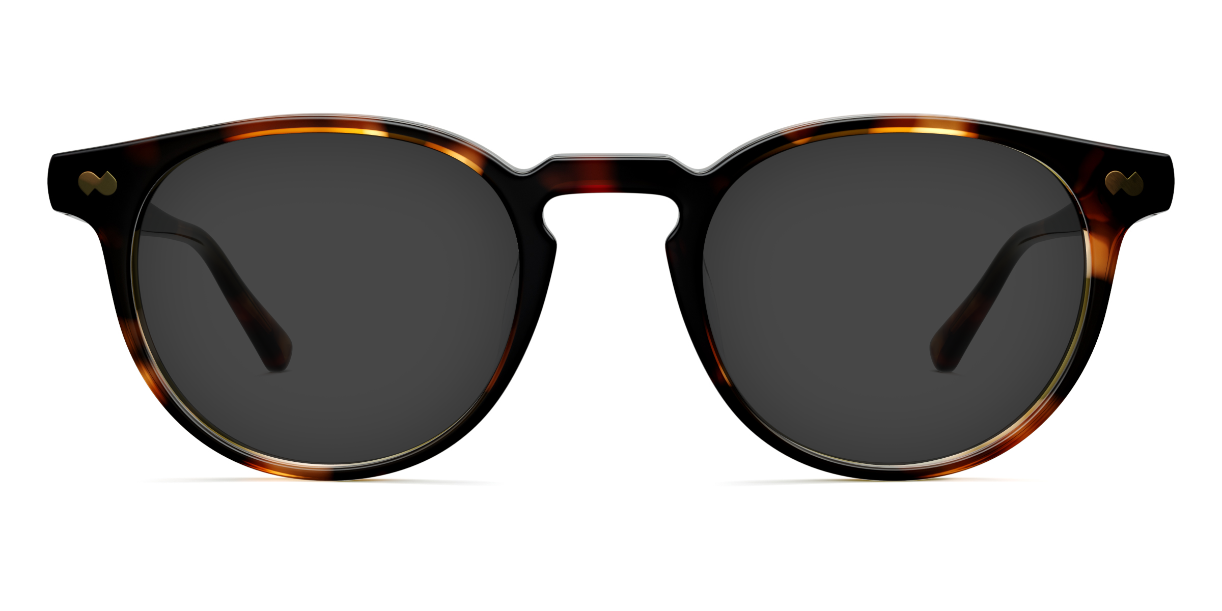The Soto - Tortoise - Image 4