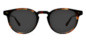 The Soto - Tortoise Sun