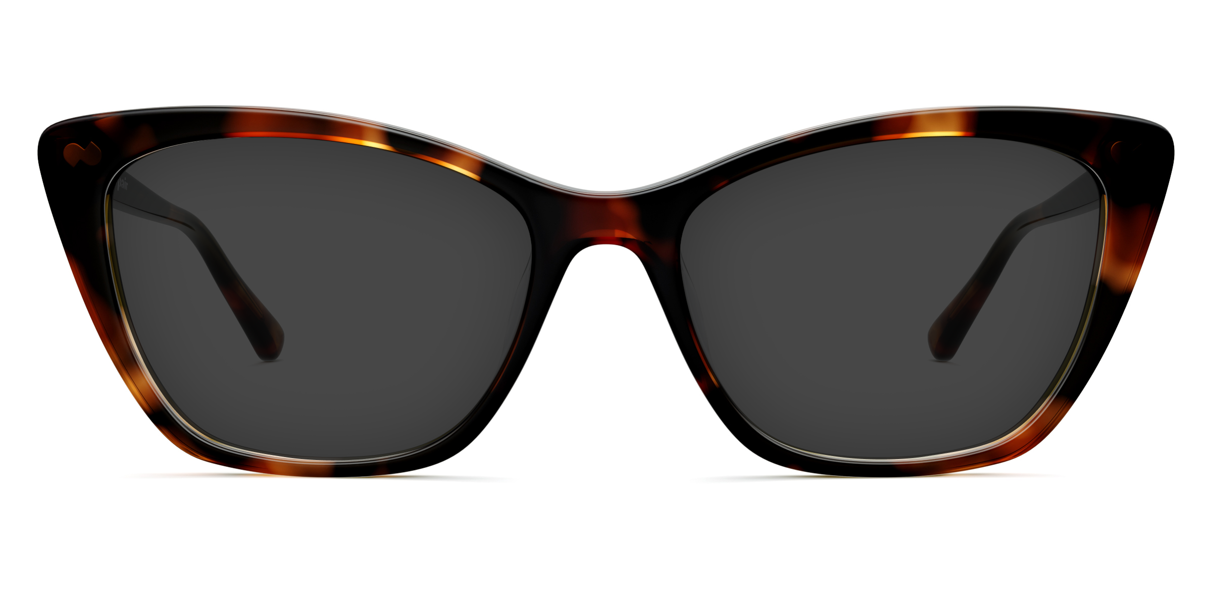 The Wanda - Tortoise - Image 4