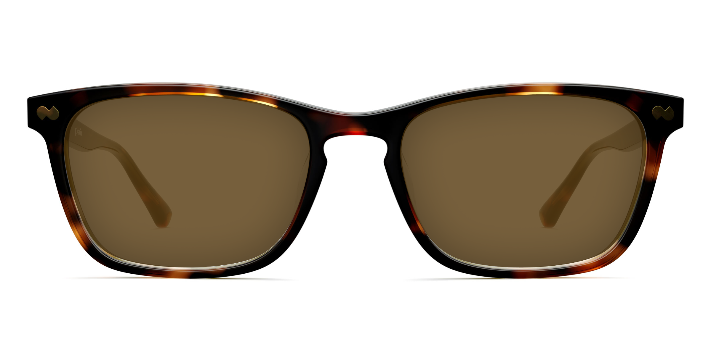 The Casper - Tortoise Sun - Image 2