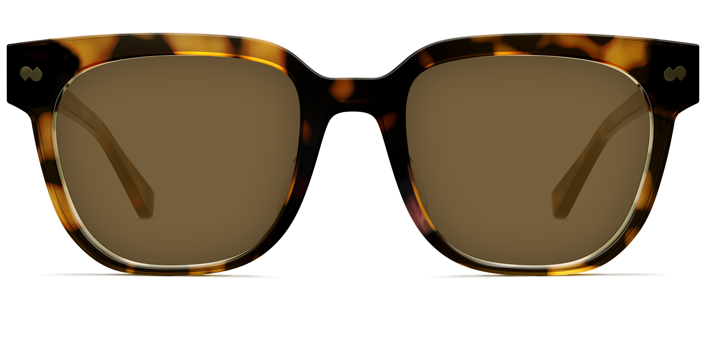 The Murphy - Tortoise Sun - Image 2