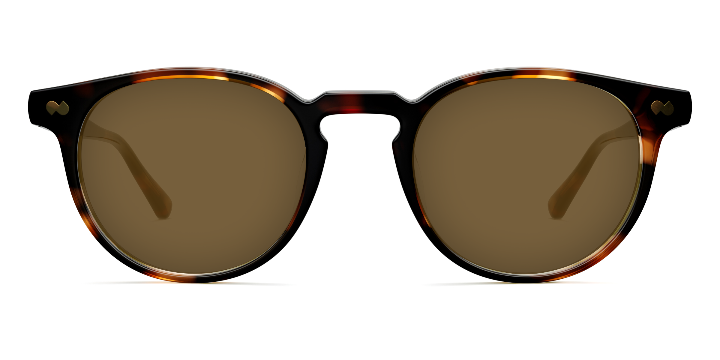 The Soto - Tortoise - Image 5