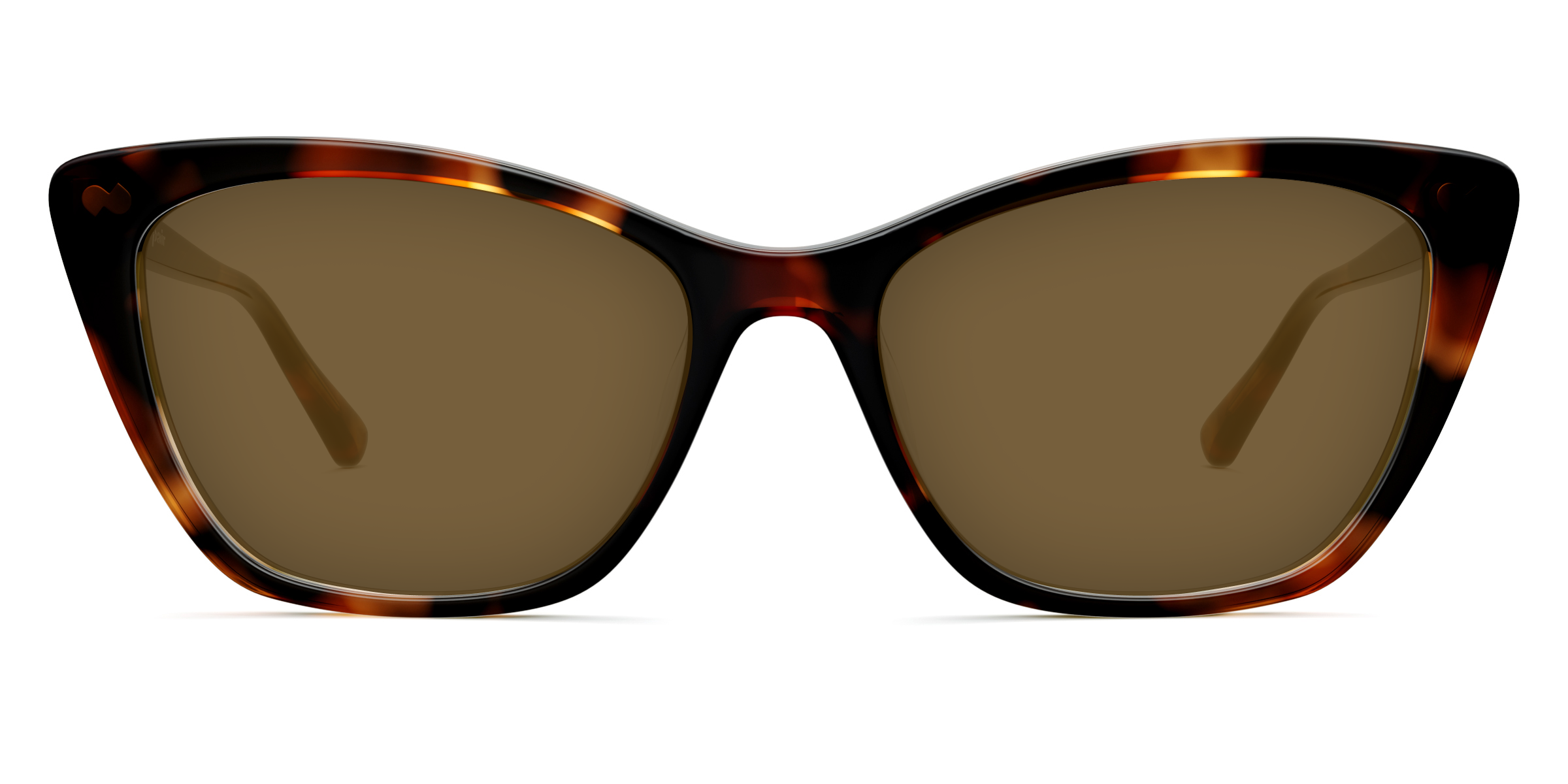 The Wanda - Tortoise - Image 5