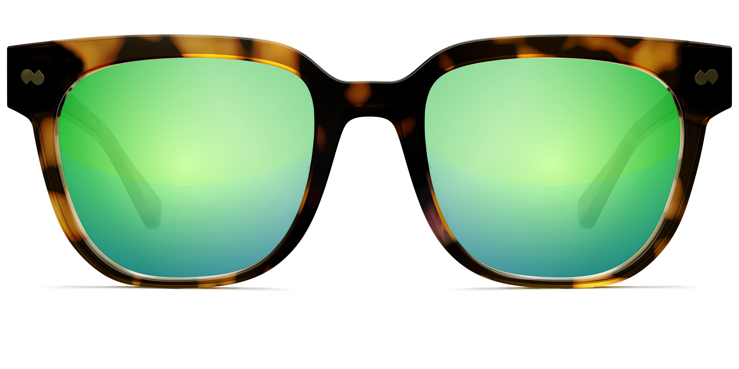 The Murphy - Tortoise - Image 10