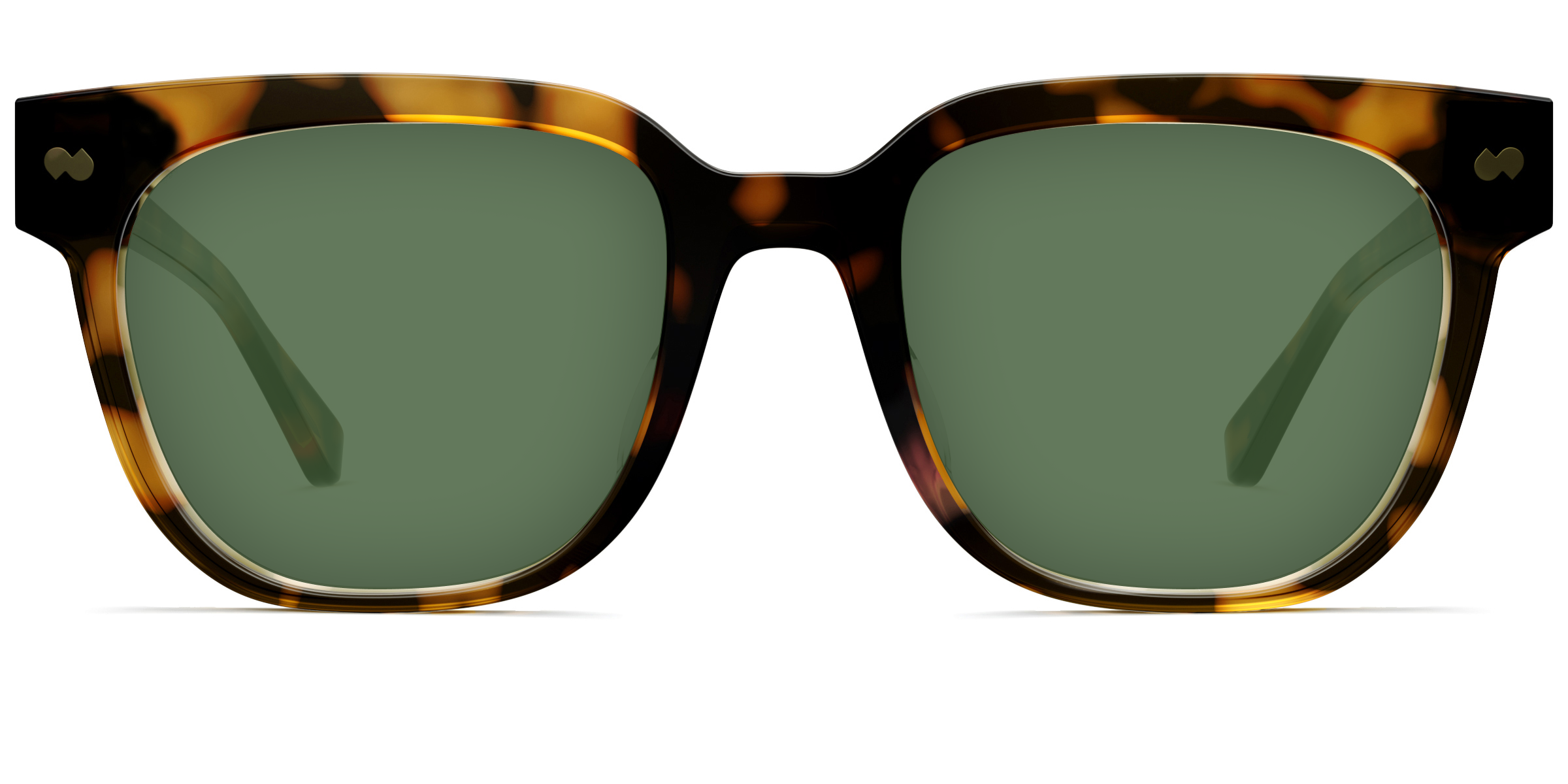 The Murphy - Tortoise - Image 6