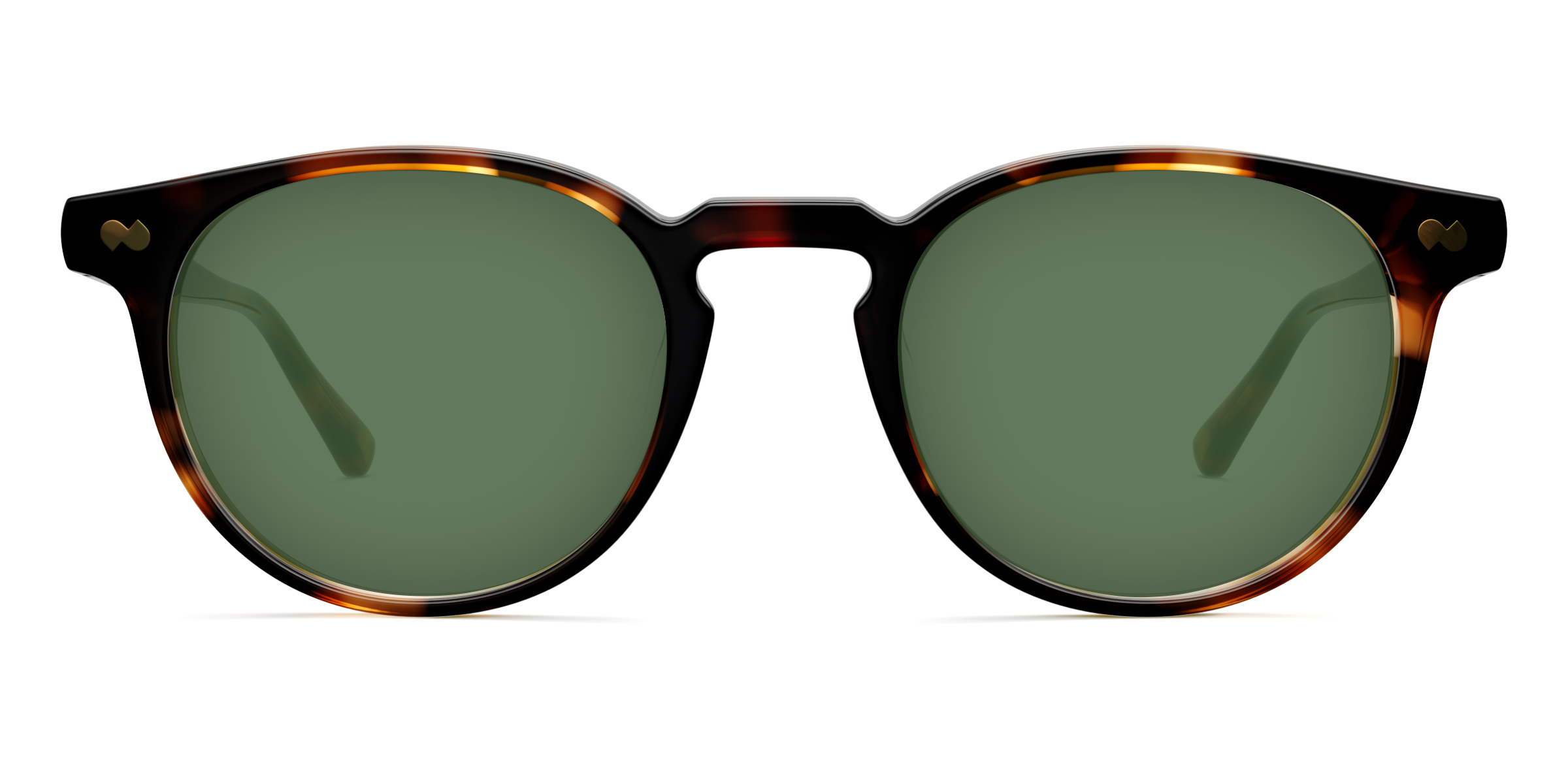 The Soto - Tortoise - Image 6