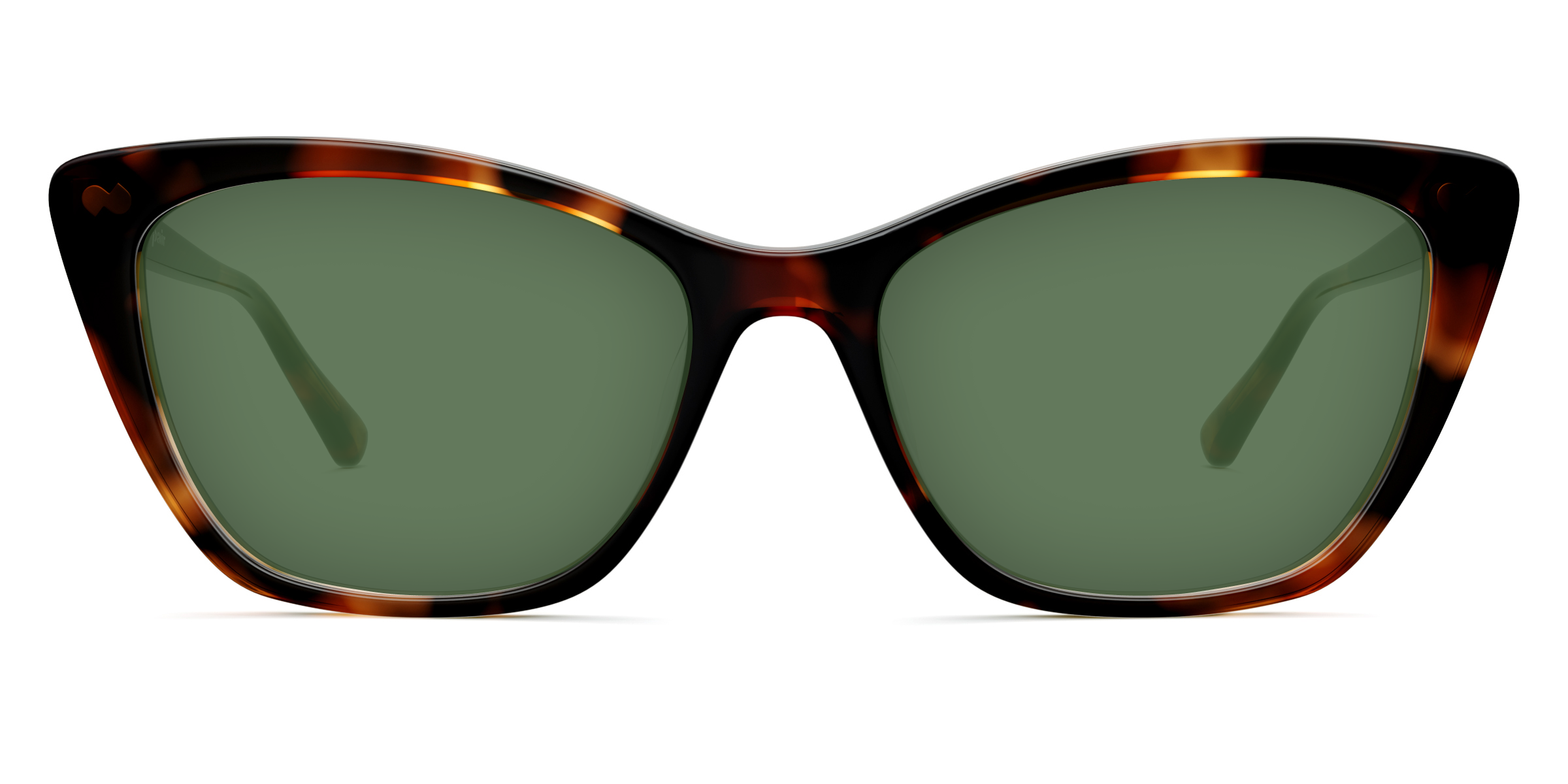 The Wanda - Tortoise - Image 6