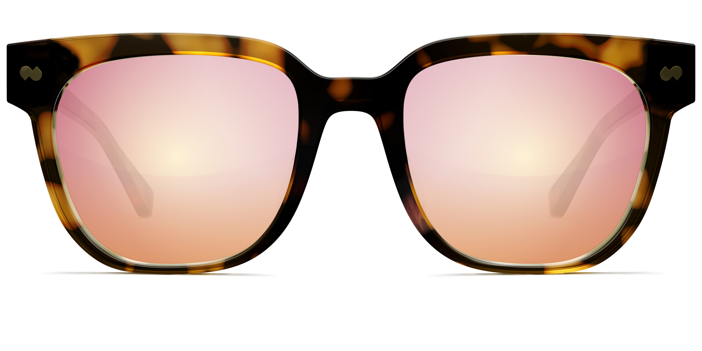 The Murphy - Tortoise - Image 8
