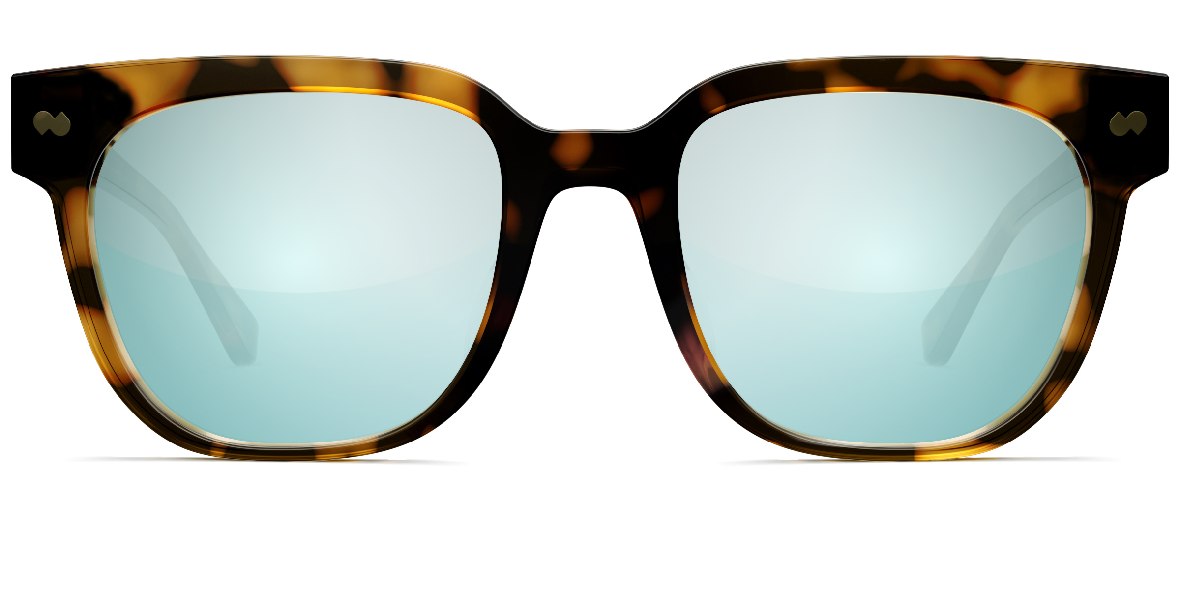 The Murphy - Tortoise - Image 7
